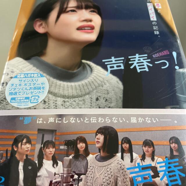 柔らかな質感の 日向坂46 声春っ！ Blu-ray BOX Blu-ray | badenbaden