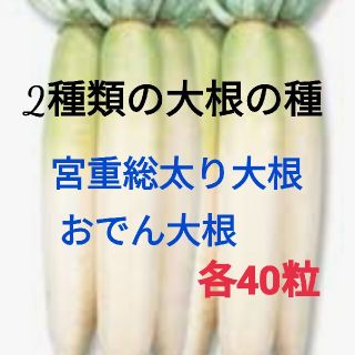 2種類の大根の種★黒田五寸人参の種20粒おまけです。(野菜)