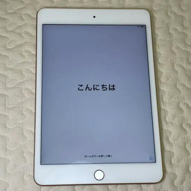 ipad mini5