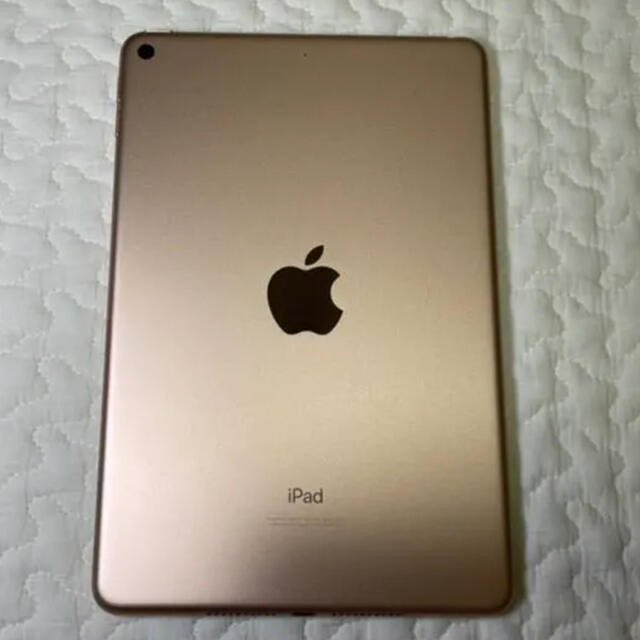 ipad mini5 1