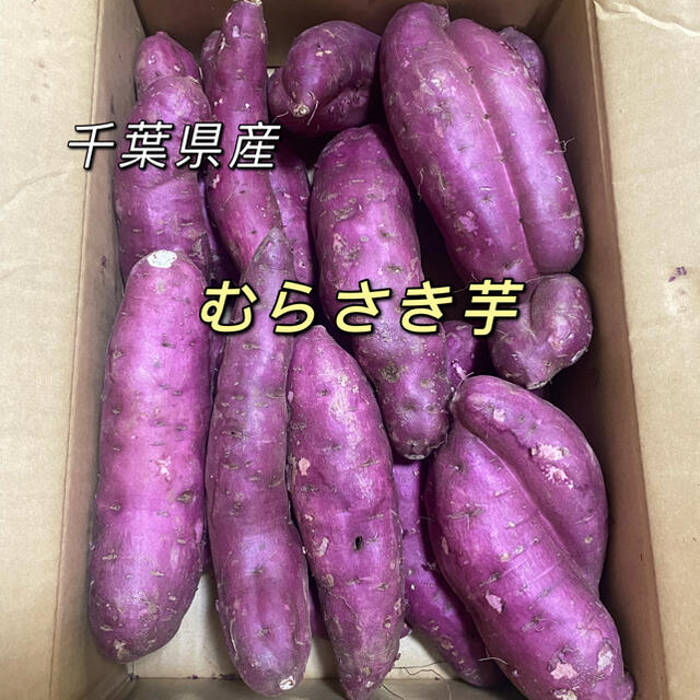 むらさき芋　千葉県産　箱含む5kg   さつまいも 食品/飲料/酒の食品(野菜)の商品写真