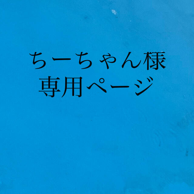 ちーちゃん様専用ページ | フリマアプリ ラクマ