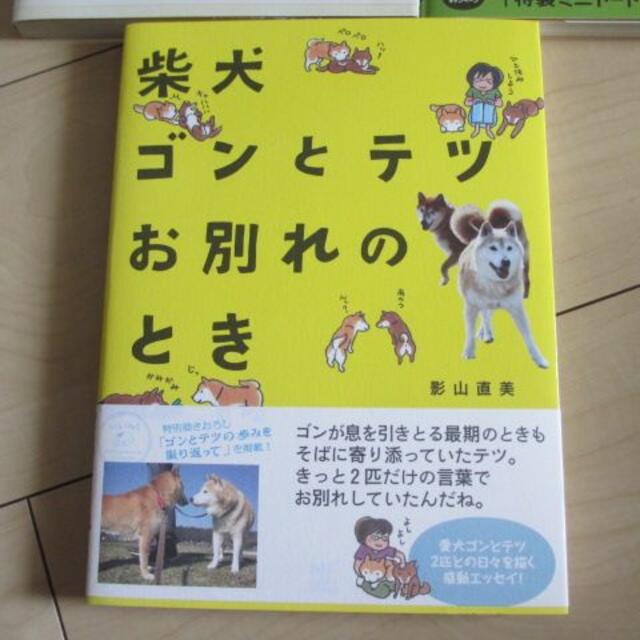 影山直美　柴犬コミックエッセイ3冊 エンタメ/ホビーの本(趣味/スポーツ/実用)の商品写真