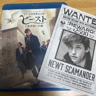 【初回仕様】ファンタスティック・ビーストと魔法使いの旅　ブルーレイ＆DVDセット(外国映画)