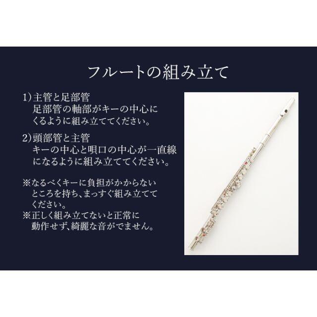 新品 未使用 送料無料 フルート 白銅製 初心者向け 学生 練習用 新品 未使用 送料無料 フルート 白銅製 初心者向け 学生 練習用