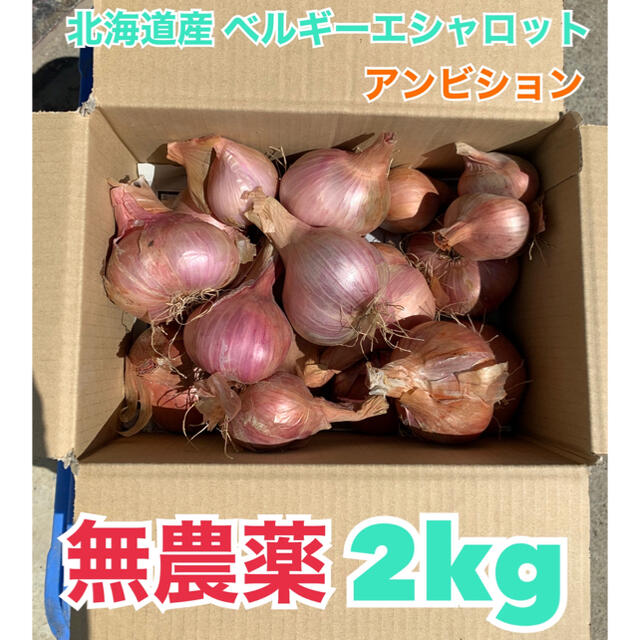 北海道産　無農薬　ベルギーエシャロット　正品　2kg 食品/飲料/酒の食品(野菜)の商品写真