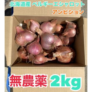 北海道産　無農薬　ベルギーエシャロット　正品　2kg(野菜)