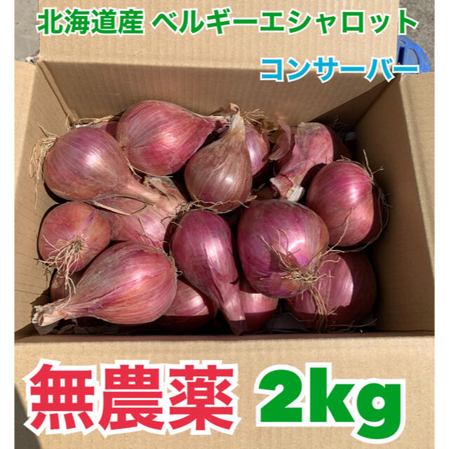 北海道産　無農薬　ベルギーエシャロット　正品　2kg 食品/飲料/酒の食品(野菜)の商品写真