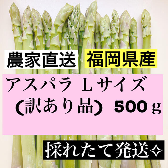 アスパラ Lサイズ(訳あり品)即購入OKです 食品/飲料/酒の食品(野菜)の商品写真