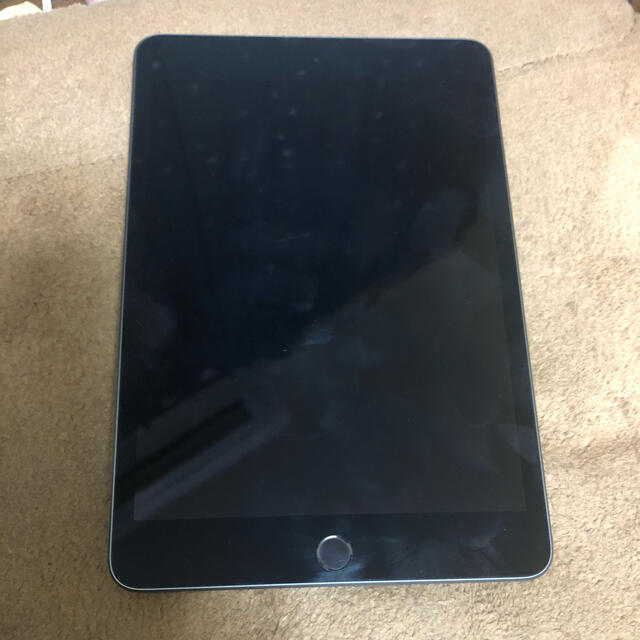 iPad mini 5 WiFiモデル 64GB スペースグレイ - richterlawpa.com