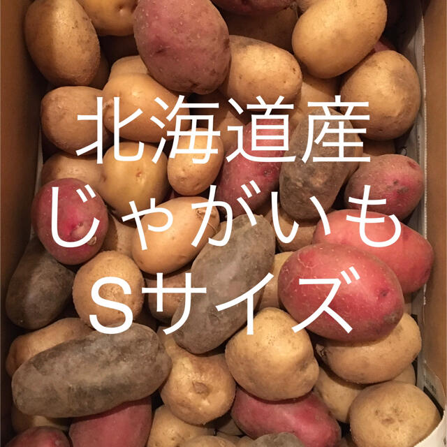 ミルク様専用〜北海道産じゃがいもSサイズ9kg 食品/飲料/酒の食品(野菜)の商品写真