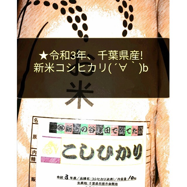 食品/飲料/酒★令和3年千葉県産新米／コシヒカリ玄米20㎏谷津田育ち♪★最終出品ラスト1セット