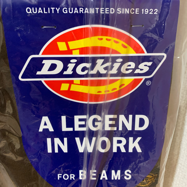 Dickies × TRIPSTER BROWN SUIT S SIZE | hartwellspremium.com