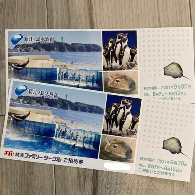 新江ノ島水族館 入場招待チケット 4枚（大人・小人共通）12月31日迄