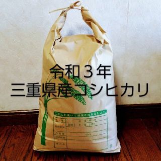 令和３年 新米コシヒカリ10kg(米/穀物)