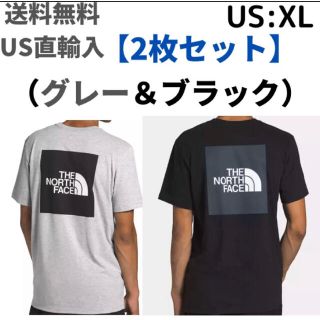 フォロー割引✨海外 ノースフェイス Tシャツ 半袖 綿 グレー/L K139F