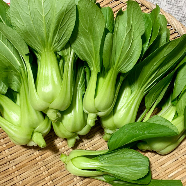 畑直送　無農薬栽培野菜 食品/飲料/酒の食品(野菜)の商品写真