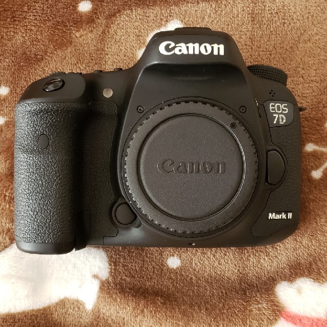 Canon EOS 7D Mark II+TAMRON 16-300mm