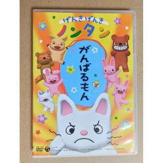 コロンビア(Columbia)のげんきげんきノンタン　がんばるもん DVD(キッズ/ファミリー)