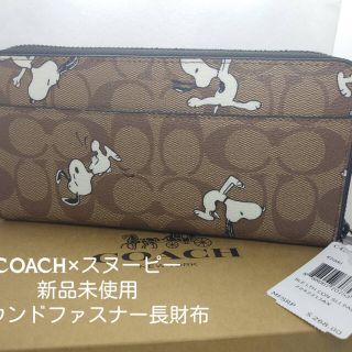 コーチ(COACH)のCOACH×スヌーピーモチーフブラウンシグネスチャー新品未使用長財布(財布)