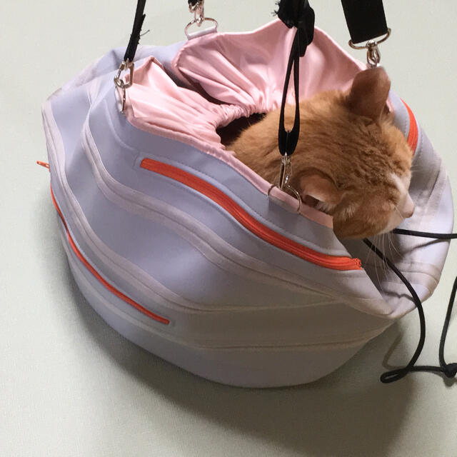 猫の歯磨き　暴れる猫ちゃん一発キャッチ その他のペット用品(猫)の商品写真