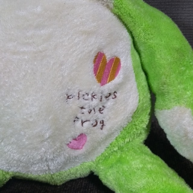 pickles the frog 湯たんぽ エンタメ/ホビーのおもちゃ/ぬいぐるみ(キャラクターグッズ)の商品写真