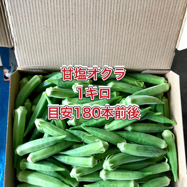 【鹿児島産】甘塩オクラ箱込み1キロ^_^ 食品/飲料/酒の食品(野菜)の商品写真