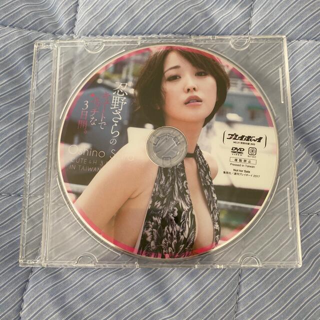 忍野さら グラビアDVD(プレイボーイ特典) エンタメ/ホビーのDVD/ブルーレイ(アイドル)の商品写真