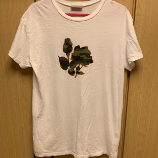 ディオールオム 薔薇 Tシャツ・カットソー(メンズ)の通販 21点 | DIOR ...