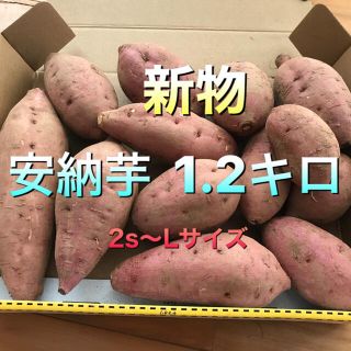 種子島産安納芋さつまいも(野菜)