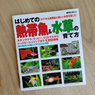 はじめての熱帯魚＆水草の育て方(住まい/暮らし/子育て)