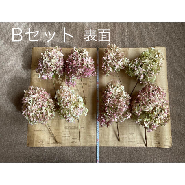紫陽花ドライフラワー tt 秋色紫陽花 80サイズ5箱分 大量 北海道産
