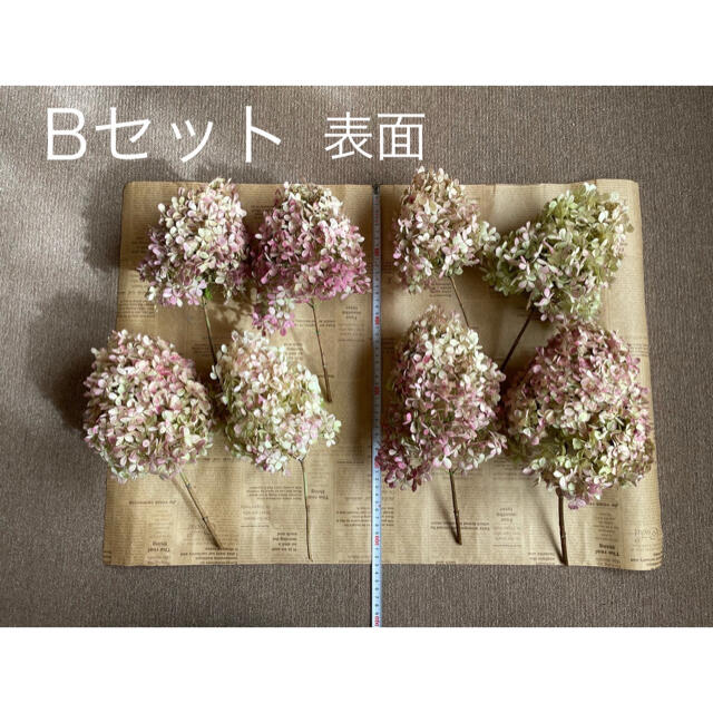 紫陽花ドライフラワー qqq 秋色紫陽花 大量お買い得品 北海道産