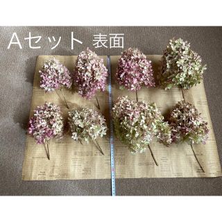 紫陽花ドライフラワー bb  秋色紫陽花 2箱セット 大量 北海道産 お買い得品