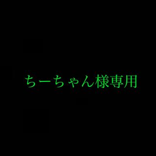 ちーちゃん様専用(その他)