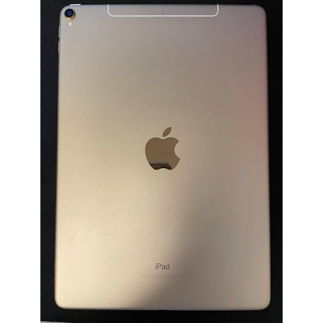 【SIMフリー)iPad Pro(10.5インチ) セルラー版 256GB 1