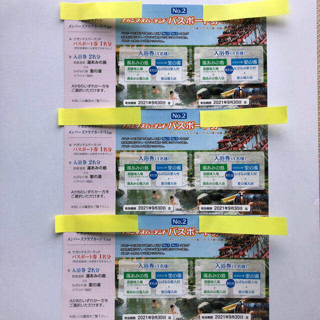 ナガシマスパーランド パスポート一日券 魅力の www.decapencap.fr