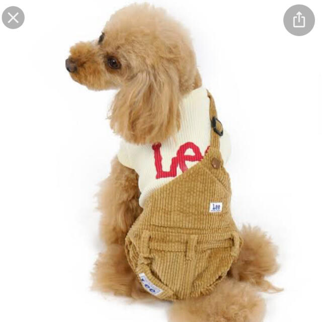 Lee(リー)の犬の服　Leeワンショルダー その他のペット用品(犬)の商品写真