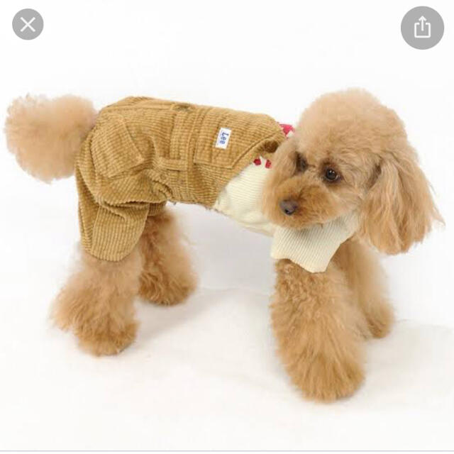 Lee(リー)の犬の服　Leeワンショルダー その他のペット用品(犬)の商品写真