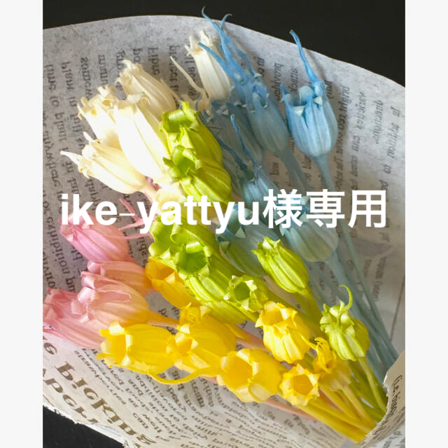 ike-yattyu様専用 ハンドメイドの素材/材料(各種パーツ)の商品写真