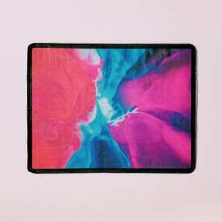 アイパッド(iPad)の限定モデル！iPad Pro 11インチ(段ボール)(タブレット)