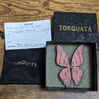 ゴンドア(gondoa)のTORQUATA 豚革 蝶ピアス(ピアス)