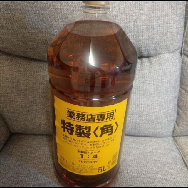 角 業務用 5L