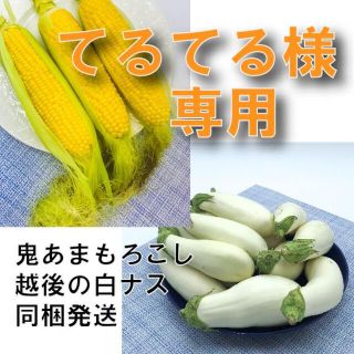 【てるてる様】専用　鬼あまもろこし１セット＋越後の白ナス１セット 同梱発送(野菜)