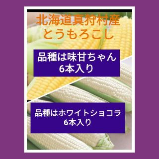 北海道真狩村産とうもろこし、品種はホワイトショコラ&味甘ちゃんセット販売(野菜)