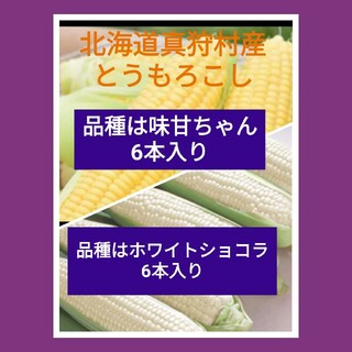 北海道真狩村産とうもろこし、品種はホワイトショコラ&味甘ちゃんセット販売(野菜)