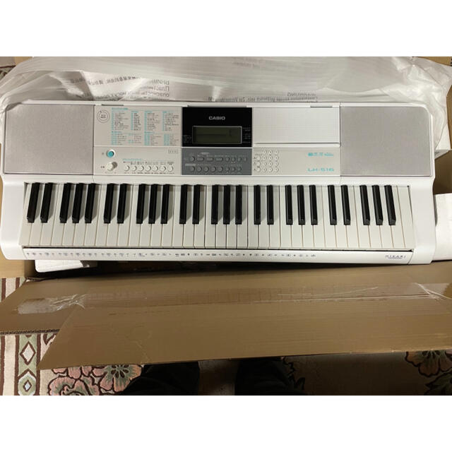 電子ピアノ LK-516 - 電子ピアノ