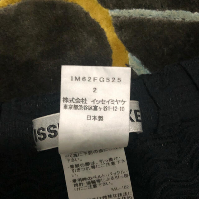 ISSEY MIYAKE(イッセイミヤケ)のissey miyake スカート レディースのスカート(ロングスカート)の商品写真