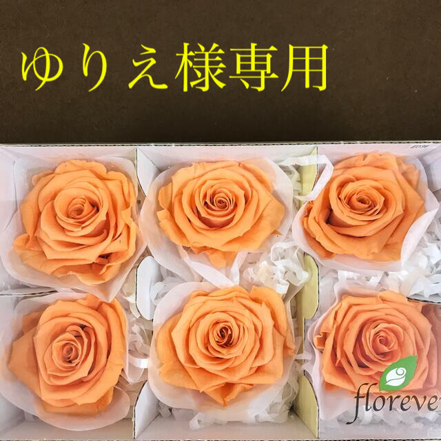 ゆりえ様専用floreverスタンダードローズのサンセットオレンジと他