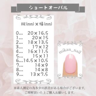 (#13) ネイルチップ : オーダー コスメ/美容のネイル(つけ爪/ネイルチップ)の商品写真